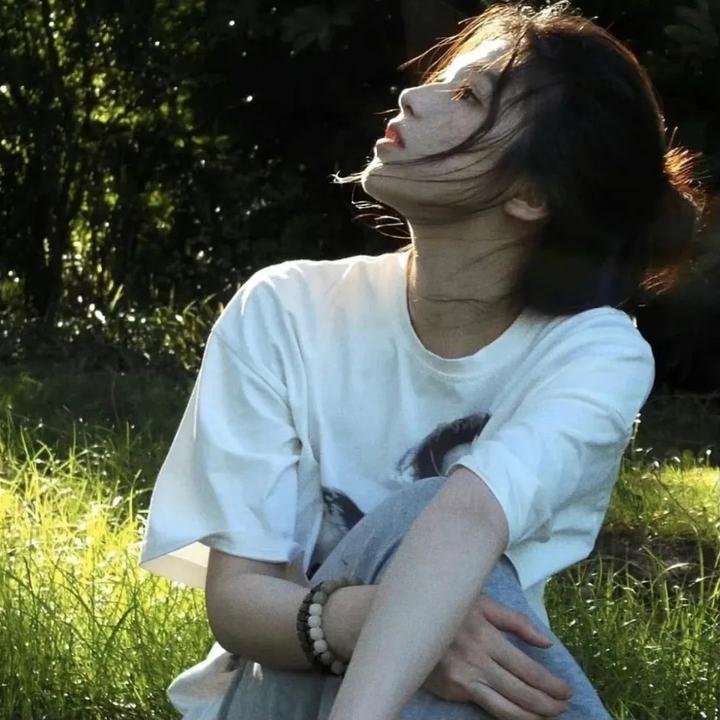 梅花档案
