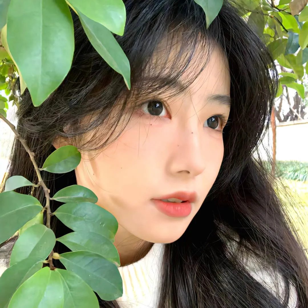 绯色战姬